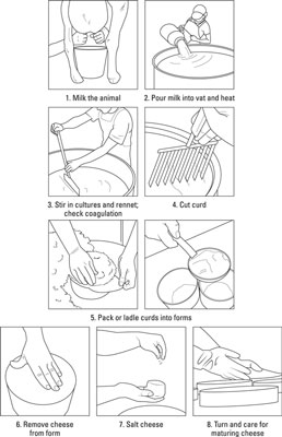 Comment faire votre propre fromage