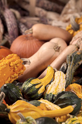 Comment faire des courges d'hiver glacées