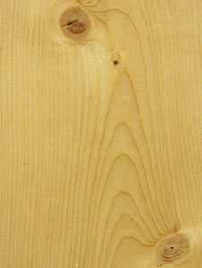 Types de bois pour le travail du bois