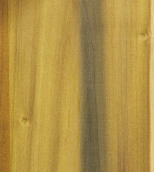 Types de bois pour le travail du bois