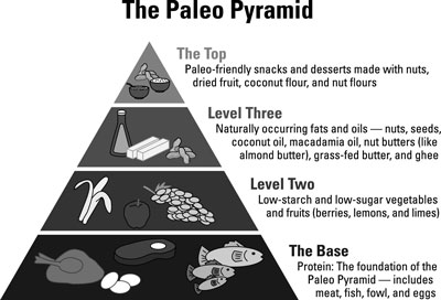 La science derrière le régime paléo