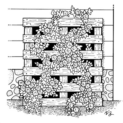 Comment créer de l'art de jardin urbain à partir de matériaux recyclés