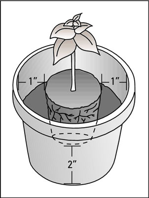 Comment créer un jardin de conteneurs