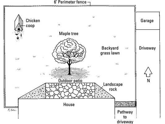 Comment créer un paysage en couches pour les poulets élevés en liberté