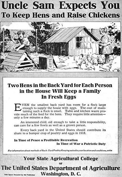 L'évolution du jardinage et de l'élevage des poulets