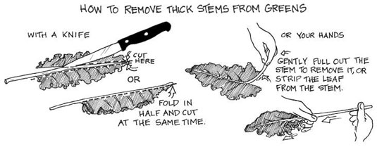 Commencez la journée du bon pied avec des smoothies verts