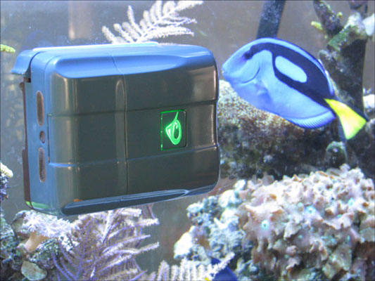 RoboSnail automatise le nettoyage de l'aquarium