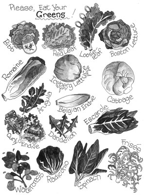 Salades adaptées aux diabétiques