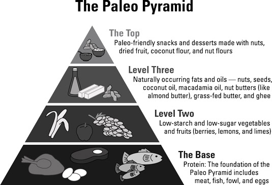 La pyramide paléo