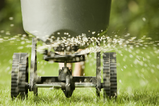 Quand fertiliser votre pelouse