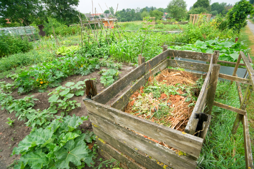 Comment créer un tas de compost simple