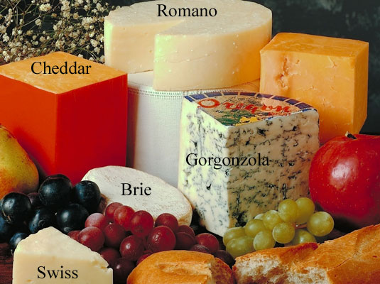 Quelques bons fromages