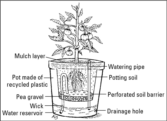 Comment choisir des pots pour votre jardin en conteneur