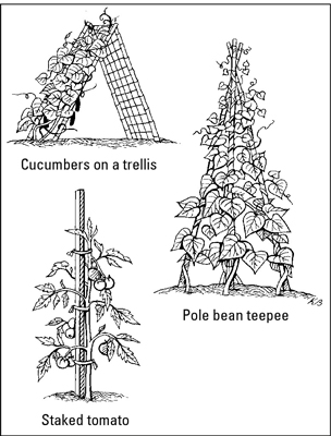 Pieux de jardin, treillis et cages pour votre jardin comestible