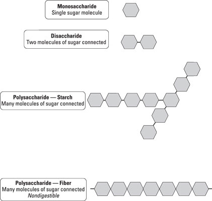 Les glucides dits simples