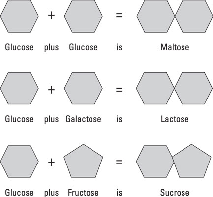 Les glucides dits simples