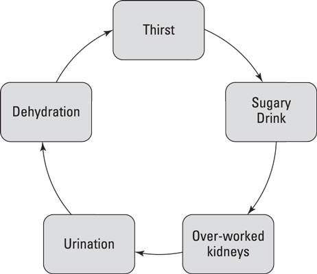 L'importance de l'hydratation et des boissons à faible teneur en glucides