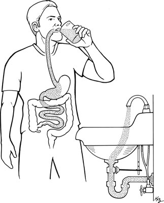 Comptage des glucides pour le contrôle du diabète et les faits sur les jus de fruits
