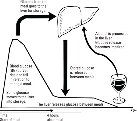 Comment l'alcool affecte la régulation du glucose