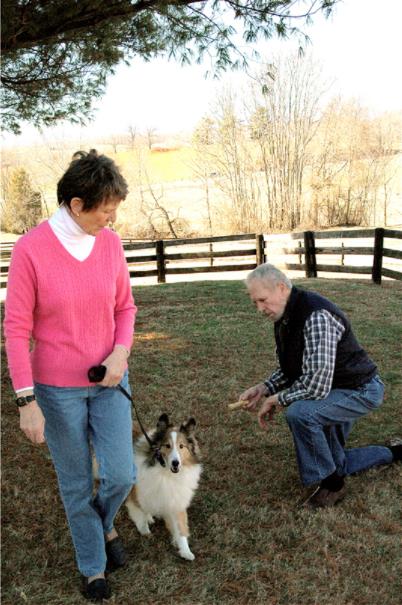 Une collection d'images du test Canine Good Citizen In A Day For aFamilyToday