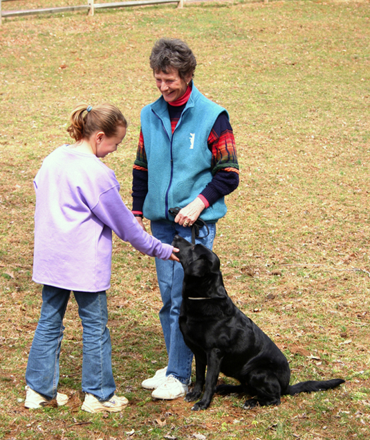 Une collection d'images du test Canine Good Citizen In A Day For aFamilyToday